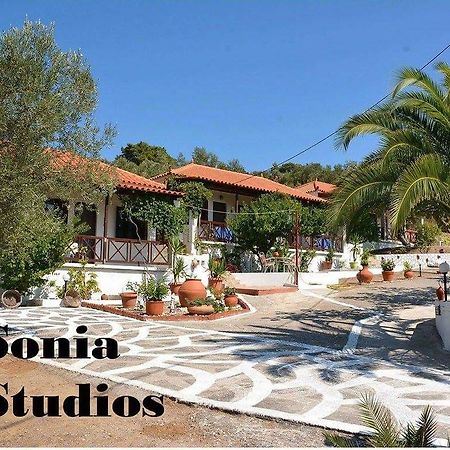 Sonia Studios Nees Kidonies Rum bild