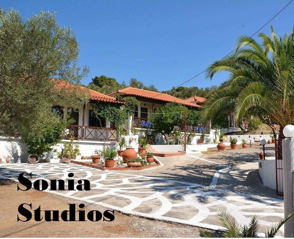 Sonia Studios Nees Kidonies Rum bild